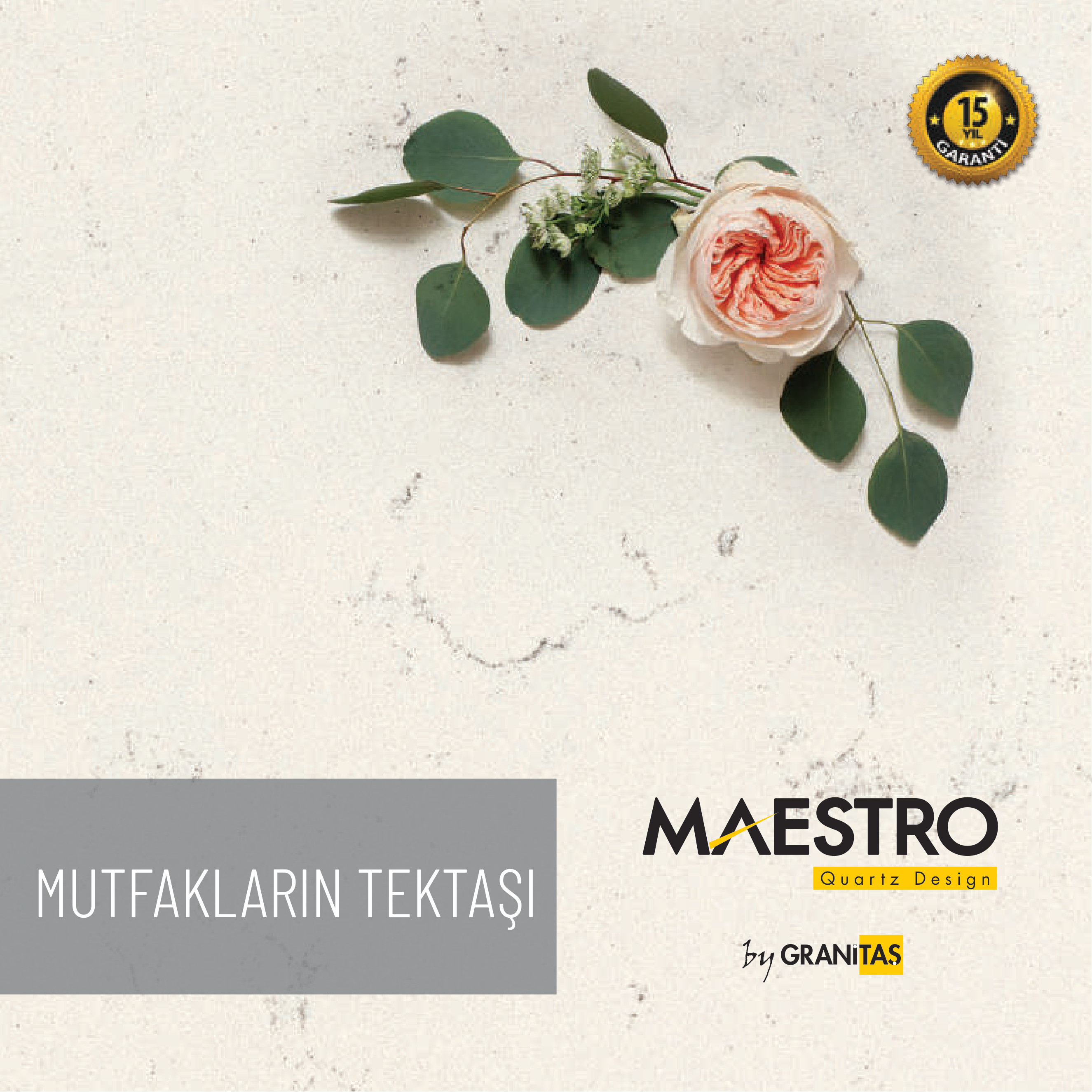Maestro